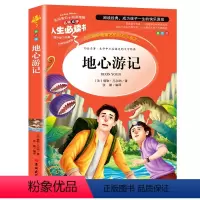 地心游记 [正版]金银岛书 史蒂文森原著 世界经典名著小学生三四五六年级必读课外阅读书籍故事人民青少年儿童版文学读物山东