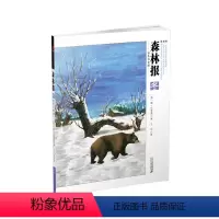 森林报 冬 彩色注音版 [正版]森林报彩色注音版春夏秋冬全四册 大自然四季变化儿童故事绘本比安基 一二三四五年级上下册小