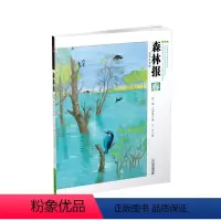 森林报 春 彩色注音版 [正版]森林报彩色注音版春夏秋冬全四册 大自然四季变化儿童故事绘本比安基 一二三四五年级上下册小