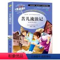 苦儿流浪记 [正版]金银岛书 史蒂文森原著 世界经典名著小学生三四五六年级必读课外阅读书籍故事人民青少年儿童版文学读物山