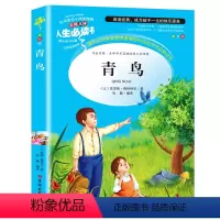 青鸟 [正版]金银岛书 史蒂文森原著 世界经典名著小学生三四五六年级必读课外阅读书籍故事人民青少年儿童版文学读物山东美术