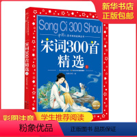 宋词300首精选 上 [正版]中国寓言故事美绘注音版共享系列单本精读经典国学传承学校阅读成语故事成语故事伊索寓言宋词唐诗