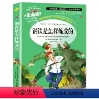 钢铁是怎样炼成的 [正版]金银岛书 史蒂文森原著 世界经典名著小学生三四五六年级必读课外阅读书籍故事人民青少年儿童版文学