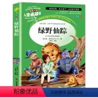 绿野仙踪 [正版]金银岛书 史蒂文森原著 世界经典名著小学生三四五六年级必读课外阅读书籍故事人民青少年儿童版文学读物山东