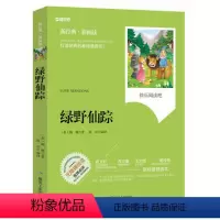 绿野仙踪 [正版]3456三年级暑期课外阅读安徒生童话城南旧事绿野仙踪格林童话宝葫芦的秘密伊索寓言大林和小林中国古代寓言