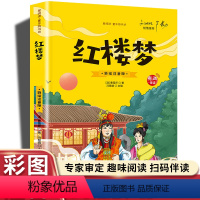 红楼梦(彩图注音) [正版]20册国学书籍全套司马光砸缸故事书曹冲称象孔融让梨精卫填海孟母三迁小学生一二三年级课外书阅读