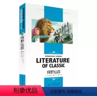 绿野仙踪 [正版][4本24元]安徒生童话北京燕山出版社全系列参加 学生课外书格林稻草人世界经典文学名著 名师精读版