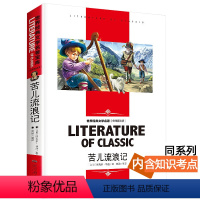 苦儿流浪记 [正版][4本24元]安徒生童话北京燕山出版社全系列参加 学生课外书格林稻草人世界经典文学名著 名师精读