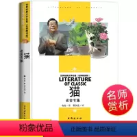 [分册名] 名师精读版-猫 [正版][4本24元]红楼梦曹雪芹 汕头大学出版社名师精读版学生用书儿童读物必读 世界经典文