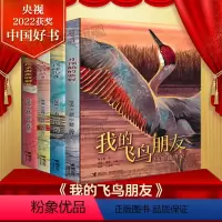 我的飞鸟朋友 你如此勇敢(全4册)[2022年度中国好书] [正版]中国好书系列全套 少儿书籍童书乘风破浪的男孩熊猫小四