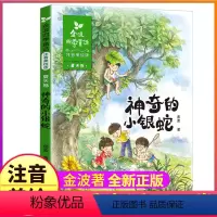 四季童话:夏天卷 [正版]全套4册注音美绘版金波著四季美文二年级下册阅读书籍树和喜鹊雨点儿沙滩上的童话集春夏秋冬作品诗选