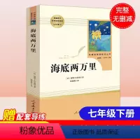 8年级下-人教版]钢铁是怎样炼成的 [正版]昆虫记法布尔原著初中生八年级上册名著阅读人民教育出版社红星照耀中国西行漫记可