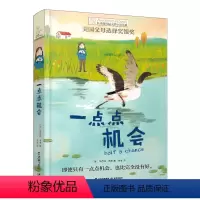 一点点机会 [正版]张祖庆十岁那年书 长青藤国际大奖小说书系青少年儿童文学读物小学生课外阅读书籍初中读物适合三四五六年级