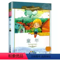 童年 [正版]4本28元系列童年 书 二十一世纪出版社 彩图注音版 小学生丛书适合6-7-8-9-10岁儿童阅读文学书籍
