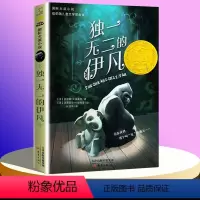 独一无二的伊凡 [正版]爱德华的奇妙之旅 升级版 凯特迪卡米 8-12岁儿童故事书小学生课外阅读二三四五六年级课外书籍