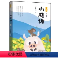 小眼睛 大世界·小旋猪 [正版]2023年暑假读一本好书 等你回家 吴州星著 小学生课外阅读书籍学校老师 小学 课外书经