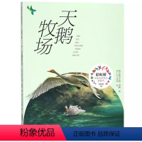 天鹅牧场 [正版]2023年暑假读一本好书 等你回家 吴州星著 小学生课外阅读书籍学校老师 小学 课外书经典文学书安徽少