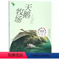 天鹅牧场 [正版]2023年暑假读一本好书 等你回家 吴州星著 小学生课外阅读书籍学校老师 小学 课外书经典文学书安徽少