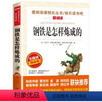 钢铁是怎样炼成的 [正版]骑鹅旅行记 六年级 尼尔斯骑鹅旅行记原著完整版小学生初中生版课外阅读书籍经典儿童文学名著故事书