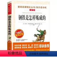 钢铁是怎样炼成的 [正版]骑鹅旅行记 六年级 尼尔斯骑鹅旅行记原著完整版小学生初中生版课外阅读书籍经典儿童文学名著故事书
