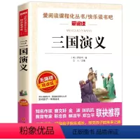 三国演义 [正版]骑鹅旅行记 六年级 尼尔斯骑鹅旅行记原著完整版小学生初中生版课外阅读书籍经典儿童文学名著故事书精读