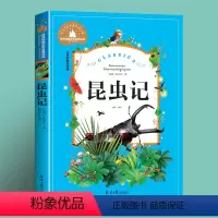 昆虫记 [正版]任选2本立元岳飞传注音版小学生课外阅读书籍一二三年级课外书必读老师阅读书目适合7-10岁的儿童故事书
