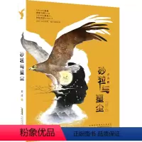 砂粒与星尘 [正版]2023年暑假读一本好书 等你回家 吴州星著 小学生课外阅读书籍学校老师 小学 课外书经典文学书安徽