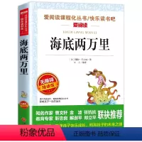 海底两万里 [正版]骑鹅旅行记 六年级 尼尔斯骑鹅旅行记原著完整版小学生初中生版课外阅读书籍经典儿童文学名著故事书精读