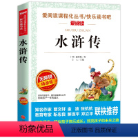 水浒传 [正版]骑鹅旅行记 六年级 尼尔斯骑鹅旅行记原著完整版小学生初中生版课外阅读书籍经典儿童文学名著故事书精读