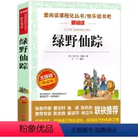 绿野仙踪 [正版]骑鹅旅行记 六年级 尼尔斯骑鹅旅行记原著完整版小学生初中生版课外阅读书籍经典儿童文学名著故事书精读