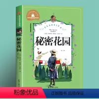 秘密花园 [正版]任选2本立元岳飞传注音版小学生课外阅读书籍一二三年级课外书必读老师阅读书目适合7-10岁的儿童故事书