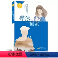 等你回家 [正版]2023年暑假读一本好书 等你回家 吴州星著 小学生课外阅读书籍学校老师 小学 课外书经典文学书安徽少