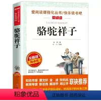 骆驼祥子 [正版]骑鹅旅行记 六年级 尼尔斯骑鹅旅行记原著完整版小学生初中生版课外阅读书籍经典儿童文学名著故事书精读