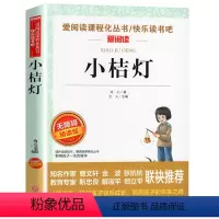 小桔灯 [正版]骑鹅旅行记 六年级 尼尔斯骑鹅旅行记原著完整版小学生初中生版课外阅读书籍经典儿童文学名著故事书精读