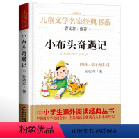 小布头奇遇记 [正版]名家经典 小桔灯小橘灯冰心曹文轩冰心儿童文学作品集名家故事书8-10-15岁小学生三四五六年级课外