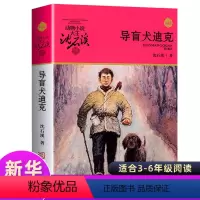 [正版]导盲犬迪克 沈石溪动物小说品藏书系升级版 小学生课外阅读书籍6-12岁青少年版儿童文学三四五六年级儿童文学故事书