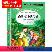 [任意3件8.5折]汤姆索亚历险记 [正版]水孩子书原著小学生三年级四年级五六年级阅读书籍山东美术出版社课程化阅读名著青