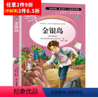 [任意3件8.5折]金银岛 [正版]水孩子书原著小学生三年级四年级五六年级阅读书籍山东美术出版社课程化阅读名著青少年课外