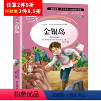 [任意3件8.5折]金银岛 [正版]水孩子书原著小学生三年级四年级五六年级阅读书籍山东美术出版社课程化阅读名著青少年课外