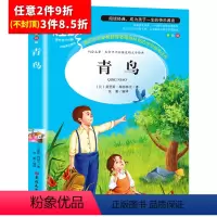 [任意3件8.5折]青鸟 [正版]水孩子书原著小学生三年级四年级五六年级阅读书籍山东美术出版社课程化阅读名著青少年课外读