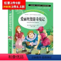 [任意3件8.5折]爱丽丝漫游奇境记 [正版]水孩子书原著小学生三年级四年级五六年级阅读书籍山东美术出版社课程化阅读名著