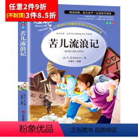 [任意3件8.5折]苦儿流浪记 [正版]水孩子书原著小学生三年级四年级五六年级阅读书籍山东美术出版社课程化阅读名著青少年