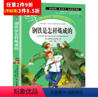[任意3件8.5折]钢铁是怎样炼成的 [正版]水孩子书原著小学生三年级四年级五六年级阅读书籍山东美术出版社课程化阅读名著