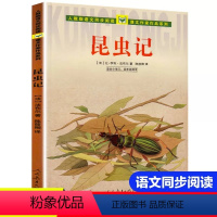 [三年级上同步]昆虫记 [正版]新蕾出版社鼹鼠的月亮河王一梅小学生三四五六年级课外书必读老师阅读人教版上下册中国经典童话