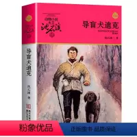 21:导盲犬迪克 [正版]任意挑选沈石溪动物小说全集 全套40册狼王梦斑羚飞渡经典三四五六年级小学生课外阅读书籍老师经典