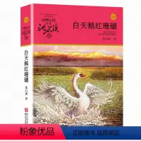 25:白天鹅红珊瑚 [正版]任意挑选沈石溪动物小说全集 全套40册狼王梦斑羚飞渡经典三四五六年级小学生课外阅读书籍老师经
