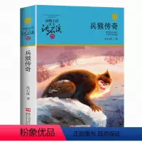 31:兵猴传奇 [正版]任意挑选沈石溪动物小说全集 全套40册狼王梦斑羚飞渡经典三四五六年级小学生课外阅读书籍老师经典畅