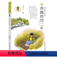 奔跑的岱二牛 [正版]我要做好孩子书四年级黄蓓佳倾情小说系列江苏凤凰少年二三五六年级小学生课外阅读书籍儿童文学今天我是升