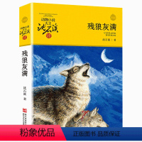 12:残狼灰满 [正版]任意挑选沈石溪动物小说全集 全套40册狼王梦斑羚飞渡经典三四五六年级小学生课外阅读书籍老师经典畅