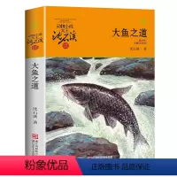 19:大鱼之道 [正版]任意挑选沈石溪动物小说全集 全套40册狼王梦斑羚飞渡经典三四五六年级小学生课外阅读书籍老师经典畅